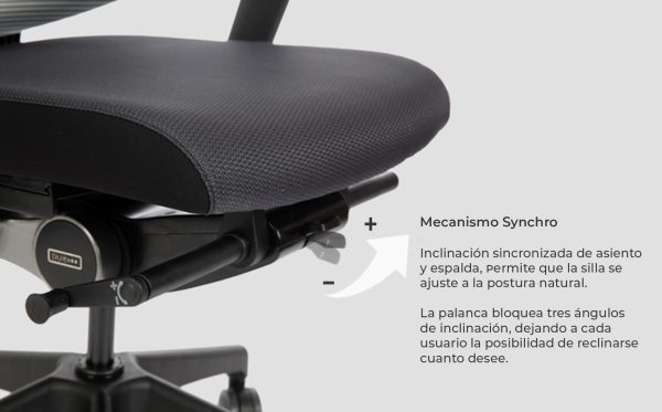 Silla Bravo - Imagen 5