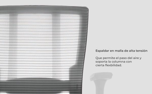 Silla Bravo - Imagen 3