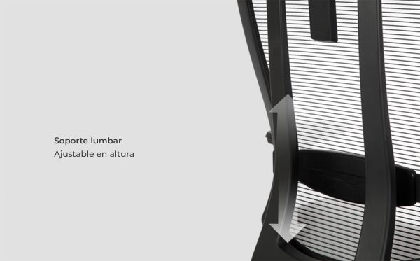 Silla Bravo - Imagen 7