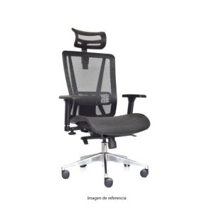 Silla Nefi Presidente