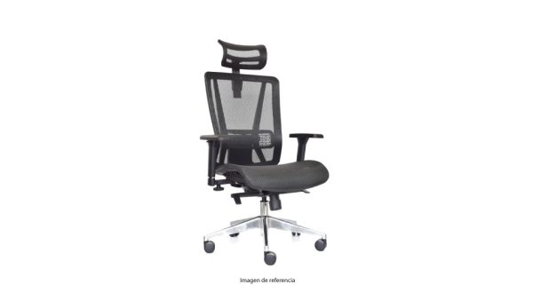 Silla Nefi presidente