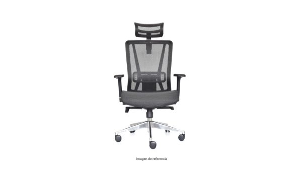 Silla Nefi presidente - Imagen 4